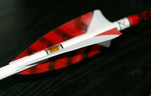 CD par équipes de clubs à Hérouville