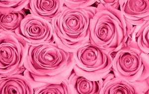 Trophée des roses à Courseulles