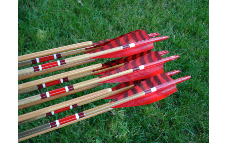 Forum des associations